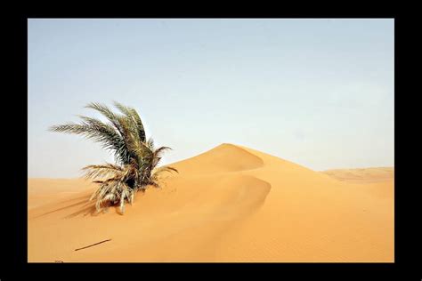 vent chaud du sahara